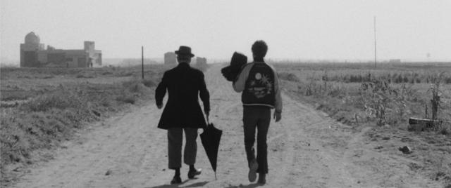 caro-ennio-and-friends-des-oiseaux-petits-et-gros-de-pier-paolo-pasolini
