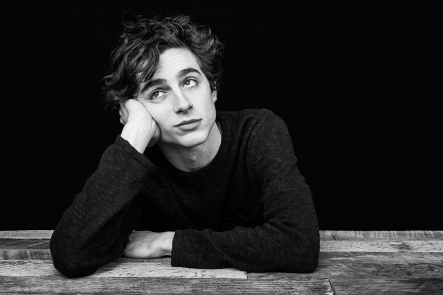 retrospective-timothee-chalamet