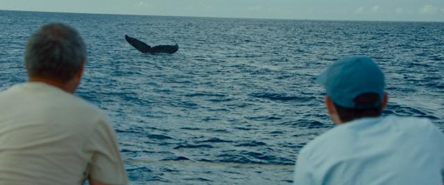 avant-premiere-la-baleine-et-le-musicien-de-valentin-paoli